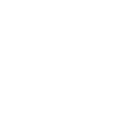 Self Scan